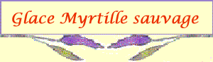 saveurs2_2.gif
